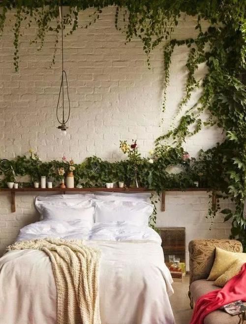  「空间」植物还种在地上？隔壁邻居把植物挂在了墙上，美翻了