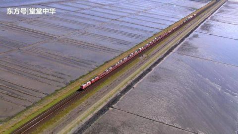 世界上最奇怪的铁路，建在海中央，火车如何做到在大海里跑？