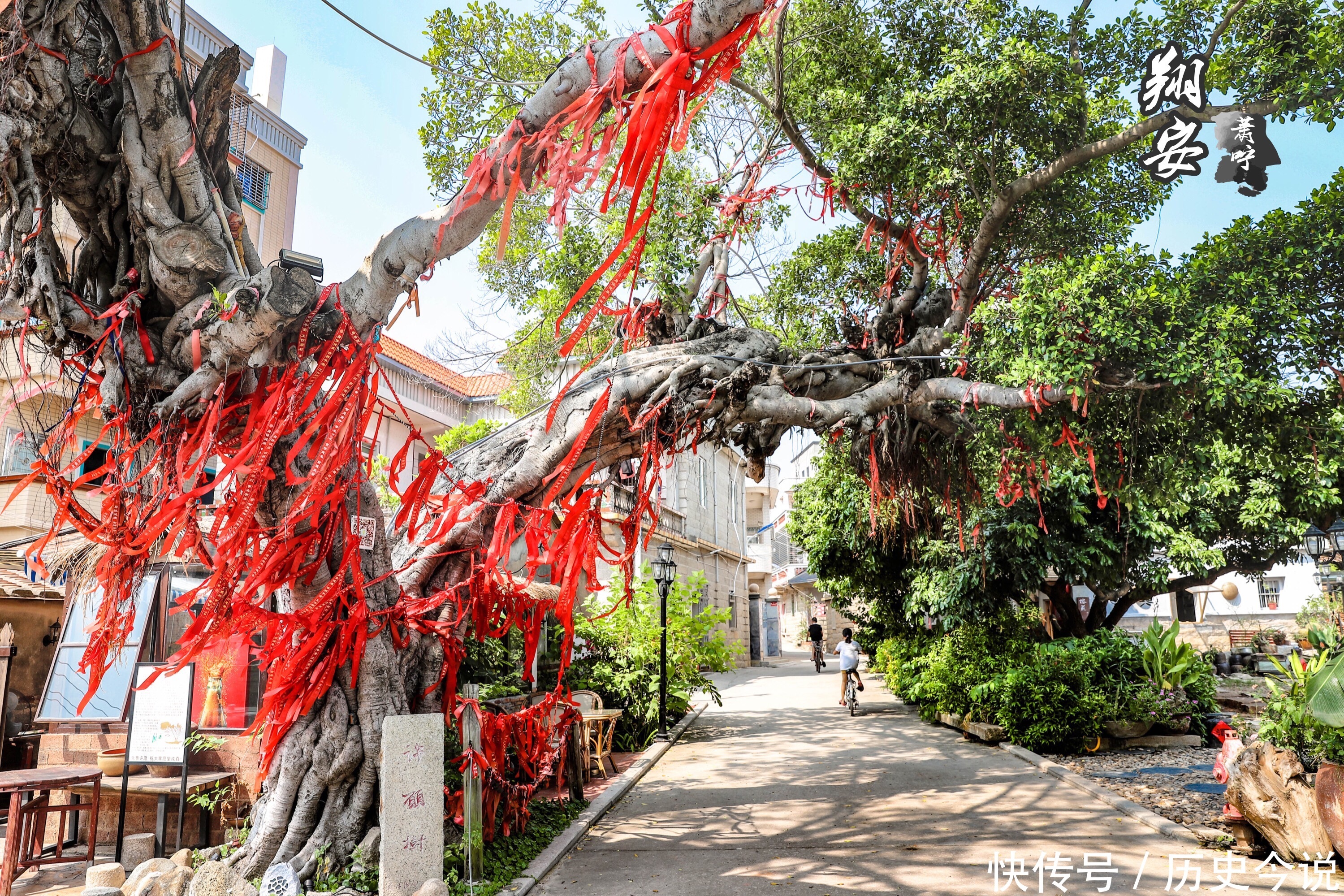 这条醉美海岸线，有90%的厦门人不知道