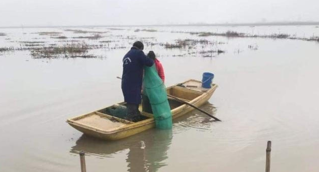  发家致富|曾当作发家致富项目，如今却成了烫手山芋，养殖户哽咽