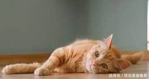 『杯水』你以为明星和网红真的只需每天八杯水吗?
