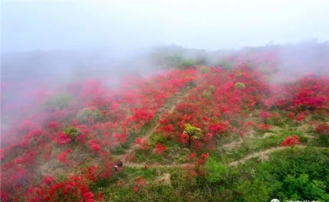 『枫树岭镇白马乳洞山』此景只应天上有!淳安这里美得“惊心动魄”……