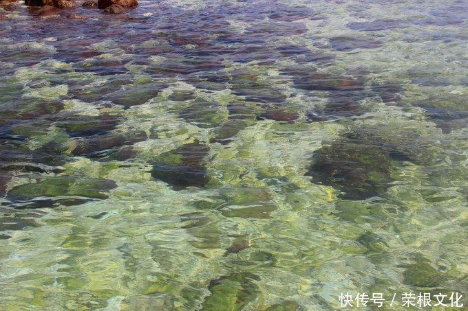 因大海到三亚，爱上大海