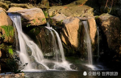 我国著名景区“坑游客”，强买强卖套路深，不掏钱不让走！