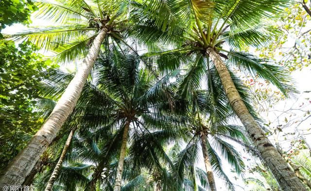 赶在冬天前来三亚，整片海滩都是你一个人的