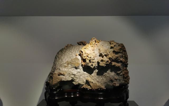 苏州太湖水石艺术馆开馆，最美太湖水石在这里