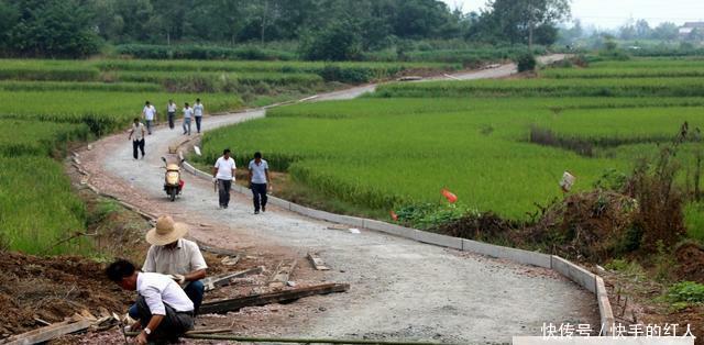村村通公路成了“村村痛”，到底谁的错？专家的回答让农民很无奈