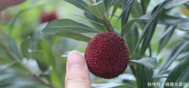 在浙江, 有个号称是神仙居住的地方, 风景绝不输黄山, 你知道它的