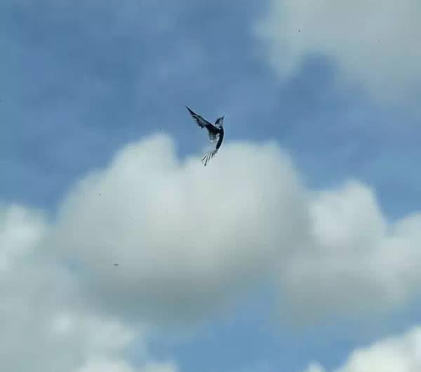 没有PS我怀疑我看了张假照片，那些年让人惊叹的真是照片