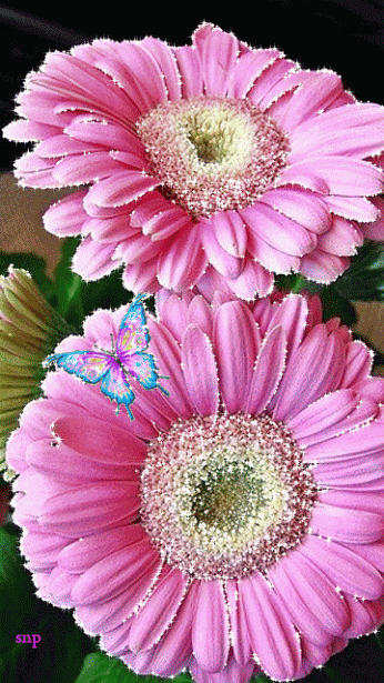 壮美了！发给大家欣赏！