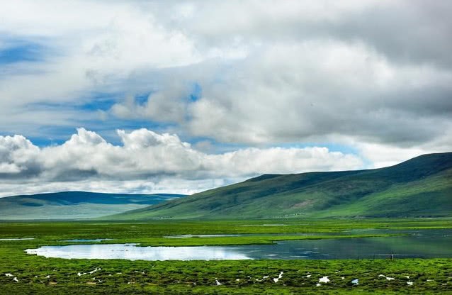 中国最大沙漠传来好消息发现一“底下宝库”,引来大批专家前往