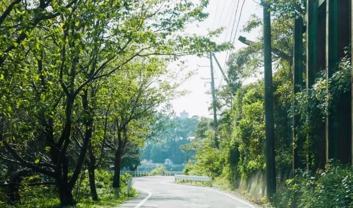 去了伊豆，才知道日本的美可以这样沁人心脾