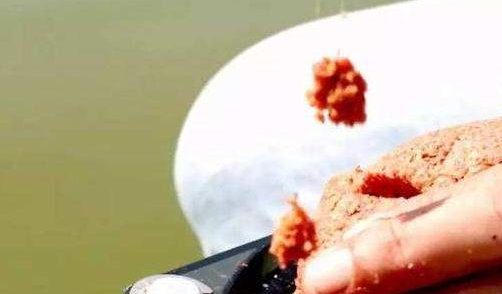  「王道」野钓鲫鱼到底是搓饵好,还是拉饵好?能上鱼才是王道
