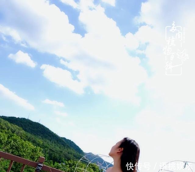  #喜欢#一粥一饭填饱肚子，一屋一花神仙日子！生命不止，玩趣不停！