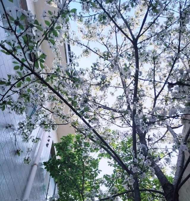  赏花：春暖花开，你赏花了么？