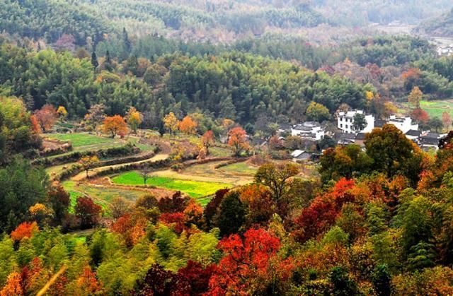 冬天已经来临，这几个绝美隐秘村落，快去抓住秋天的“尾巴”！