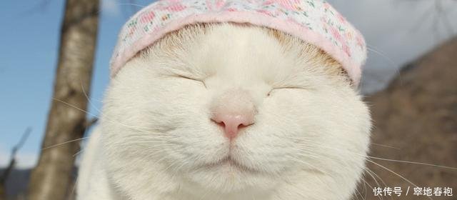 经典短笑话十条抱歉,你不是我的菜_【快资讯】