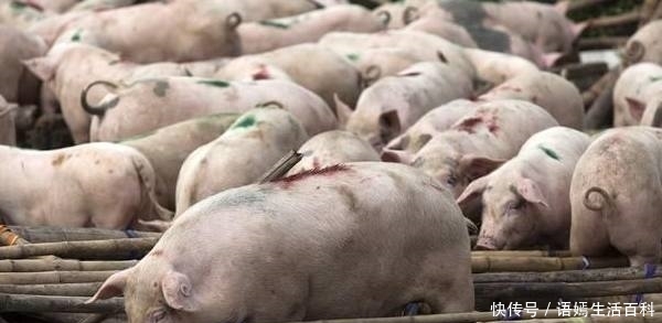 好消息！农村推行“4大革命”，农民生活更好，农村户口要升值！