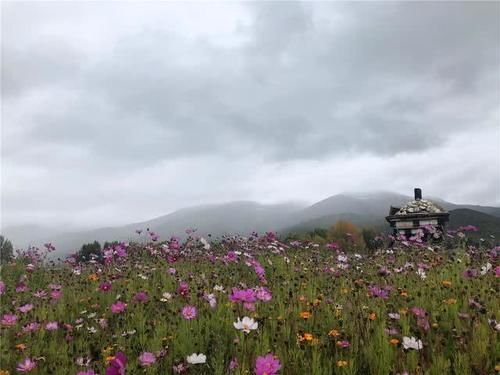 西藏自驾之旅第4天：大雪中前往稻城亚丁，看到4个交通事故