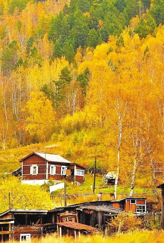 再过半个月，贝加尔湖的秋简直要逼疯摄影师!