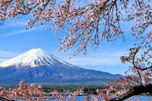 为什么你去日本一次，就有第二次和第三次去日本的冲动？