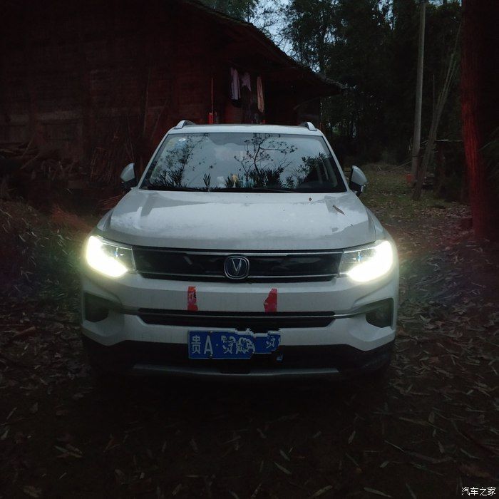 老司机看不了了啊