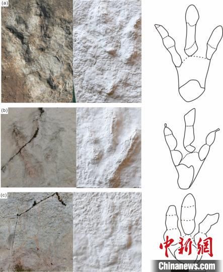  翼龙动物群|中科院团队在新疆准噶尔盆地发现世界最大的亚洲足迹