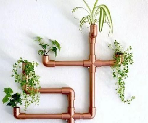  「空间」植物还种在地上？隔壁邻居把植物挂在了墙上，美翻了