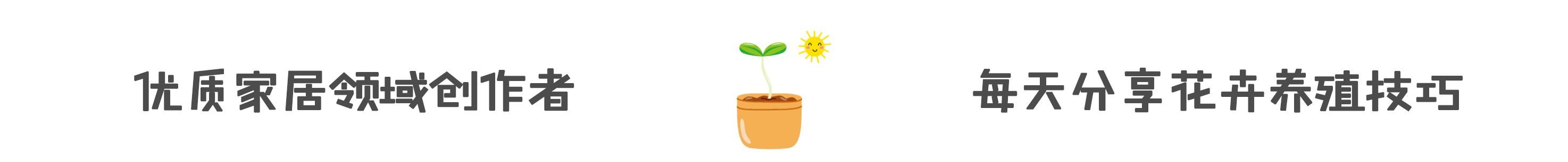  『冬天』一到冬天皮肤干燥不堪，家里养的“芦荟”派上用场，抹点就管用