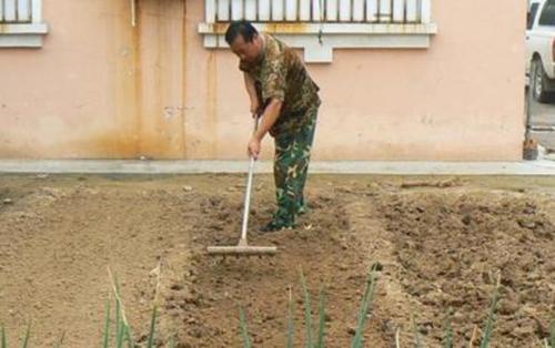  2020年：2020年，杜绝农村乱搭乱建，有这4种情况的，就算房子盖