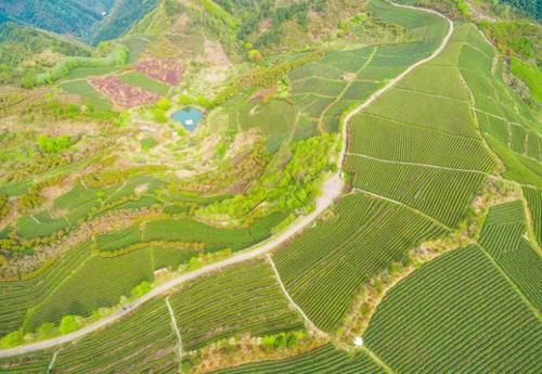  gdp■浙江最“谦虚”的城市，GDP轻松过万亿，没有温州锋芒毕露