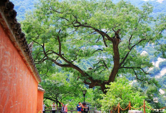 偷得浮生半日闲，自驾宋MAX，去爬华山观美景