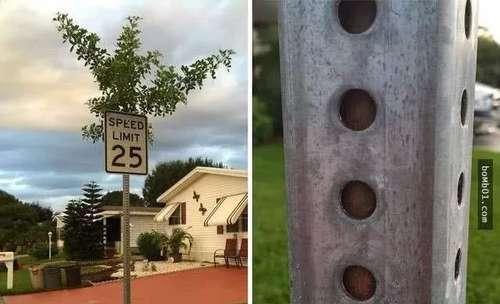 20张不可思议的照片，证明大自然无所不能！