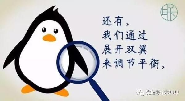 立刻转发！暴雪今天就到！积雪5-8厘米！