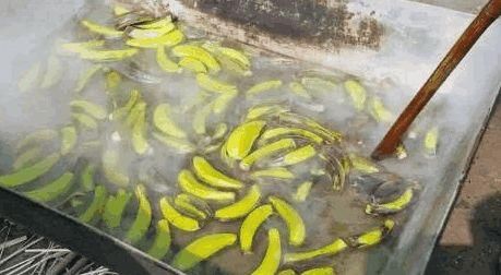 中国人拿它当垃圾扔掉，印度人却当美食！网友：中国人真不懂吃