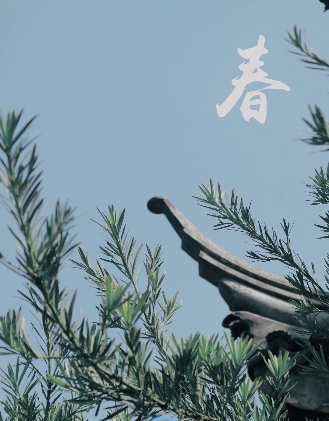  『预约』滨海新区的春天，不需要预约