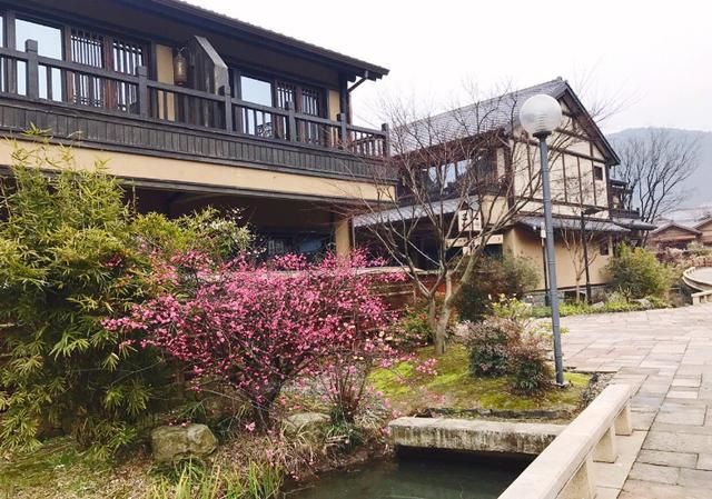 美过婺源！国内最适合全家游自驾赏花地，不收门票，美的鲜为人知