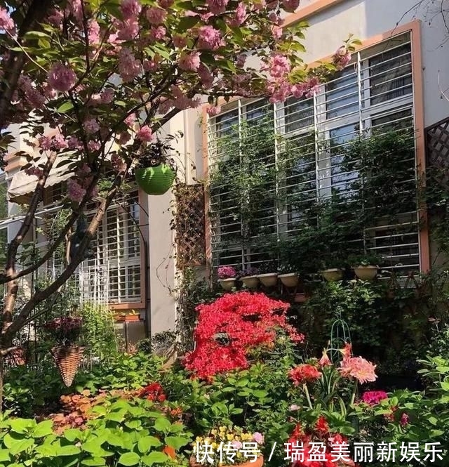  「平方」有了30平方的小院，能将日子过成了诗？简单而精致，优雅而从容！
