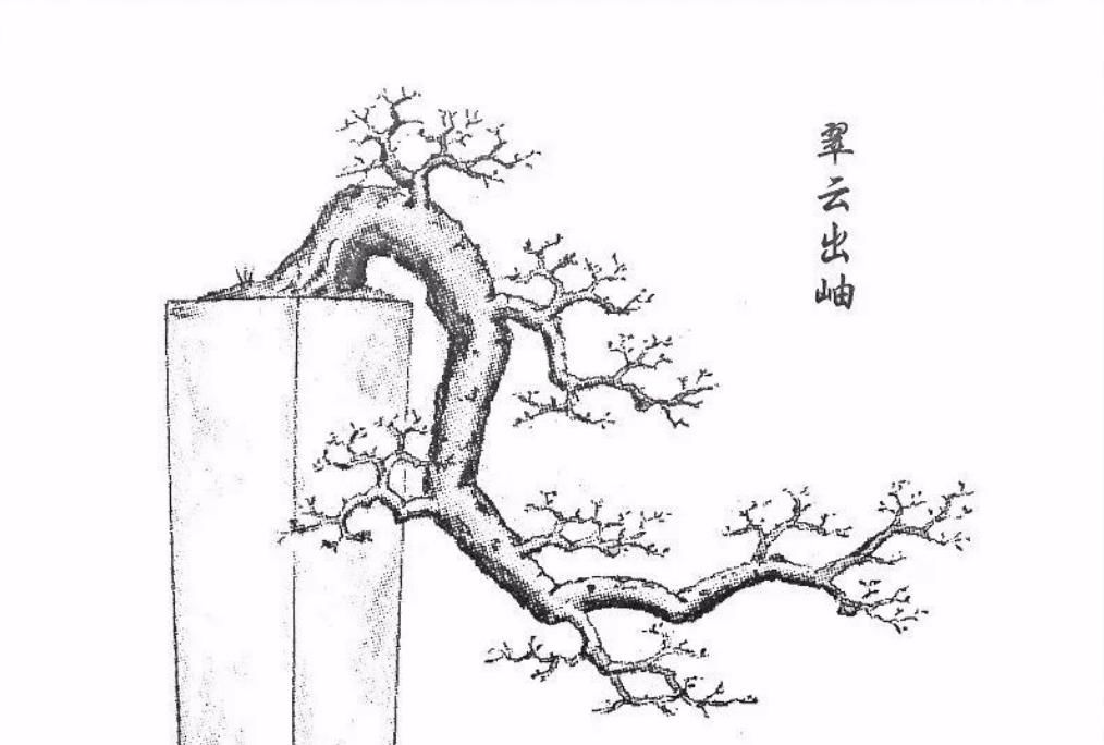  「难度」喜欢悬崖式，就是造型有难度？其实只因为心中没图，这里参考有数