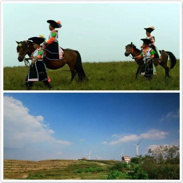 金秋贵州 这些田间地头要美哭了!