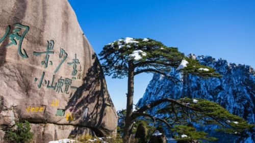 黄山标志性景观，迎客松是一棵“假树”？网友：几百年来保持同一