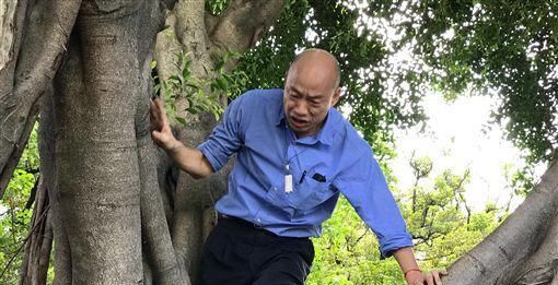 韩国瑜爬树冲洞，白眼女神怒了：市长不要再作秀了
