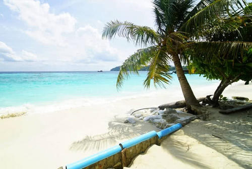 中国最有“价值”的沙漠,日本曾想用粮食换沙子,却没如其所愿