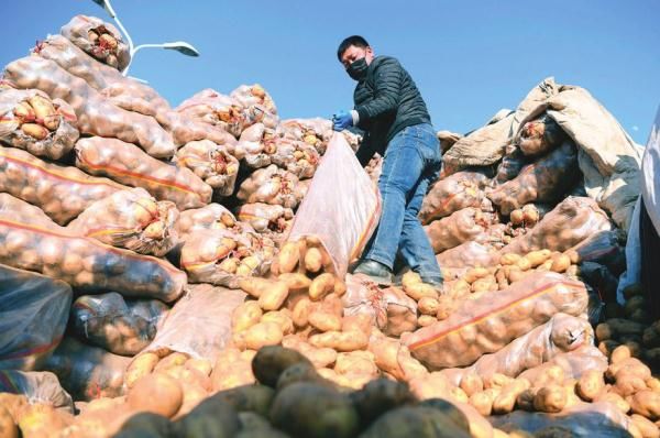  「公共自行车」大疫当前 责任在肩丨太原：那些坚守在自己岗位上