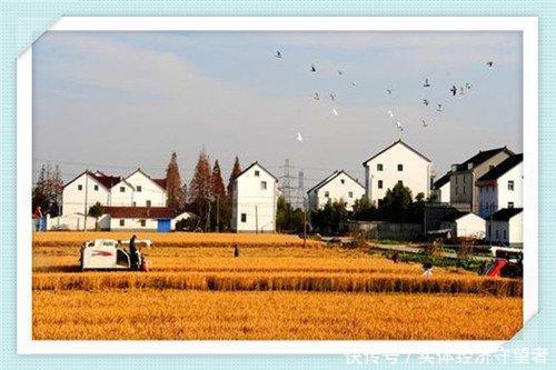  「空白」农村创业，市场空白很大，哪些项目可以填补农村的空白