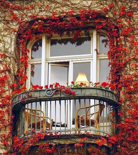 我想有个小院，欣赏四季美景