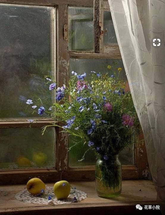 择一处小院，活一世风景！