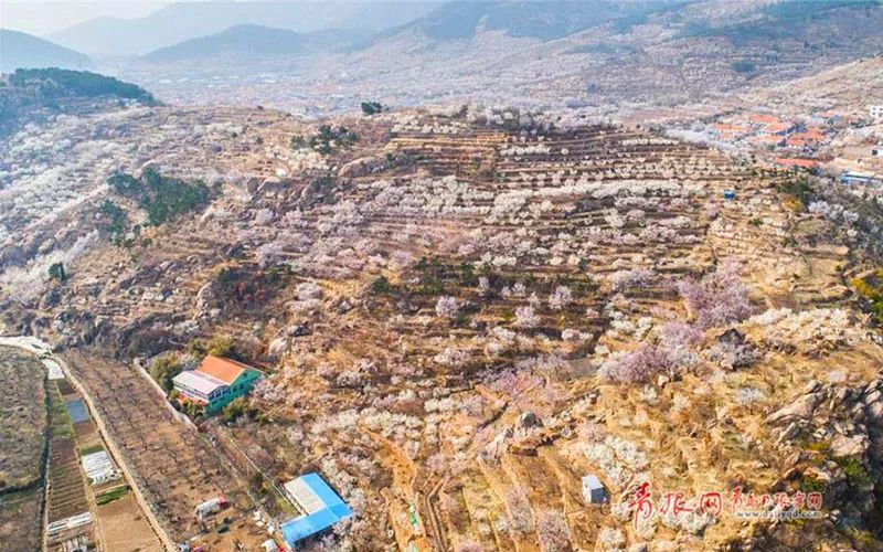 40张航拍图，看2018青岛最美瞬间!