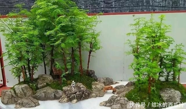  『盘子』用石头盘子来养花，变成小盆景，价值能翻好几倍