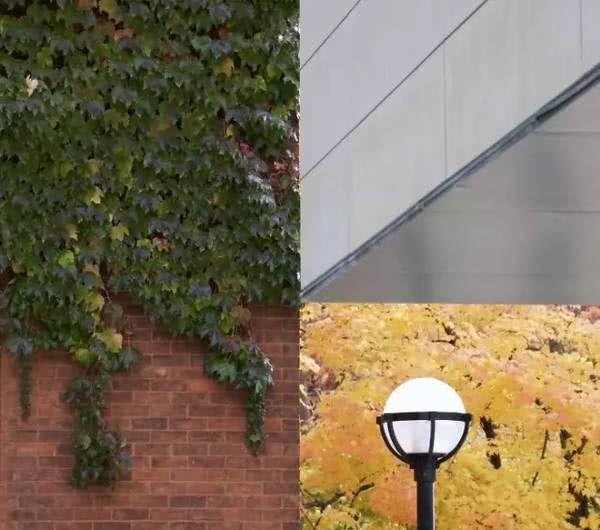 没有PS我怀疑我看了张假照片，那些年让人惊叹的真是照片